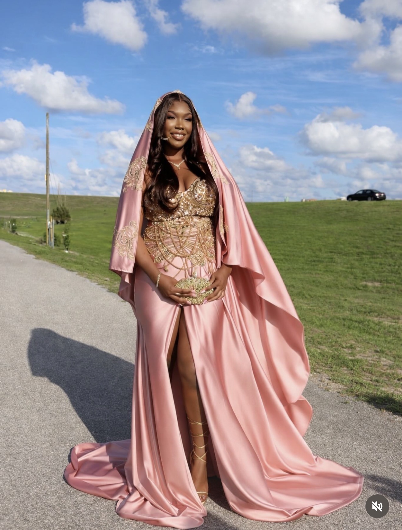 Sleek Dionne couture